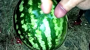 I found a watermelon in the forest plus fucked it with two personnel / male orgasm / russian dirty talk / dildo