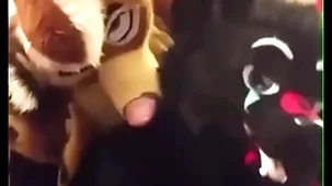 Fursuiters fuck in bathroom greatest extent bottom moans loudly