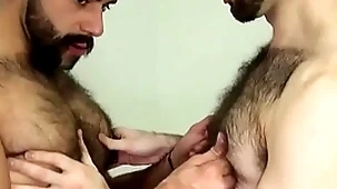 Hairy bear fingered and barebacked doggystyle