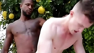 Enormous bbc penetrates gay asshole - reign , grant ducati