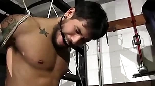 Dirty cop matt stevens has control of draven torres