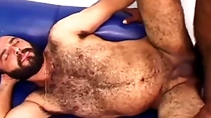 Sparta - horny cub gets hairy ass stuffed by a yearn black cock!